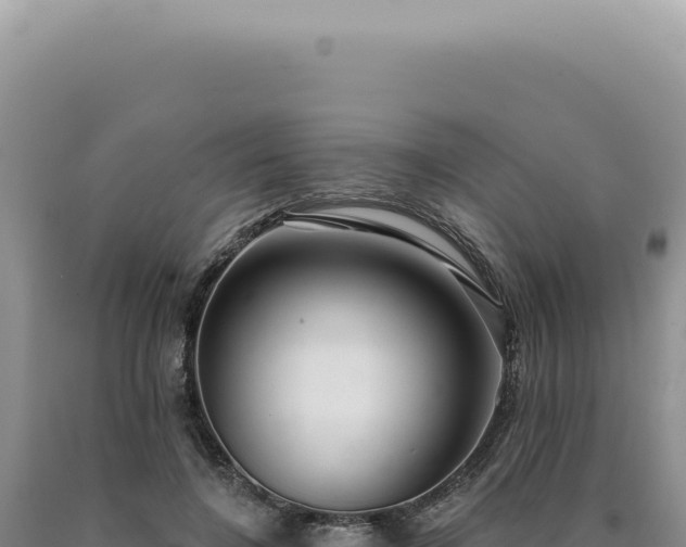 X0000090770548200707271529