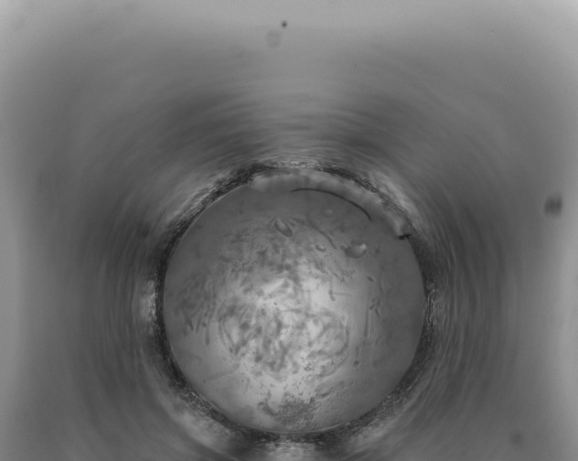 X0000090770549200707271529