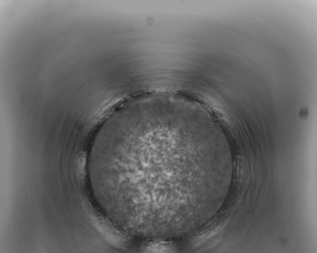 X0000090770550200707271529