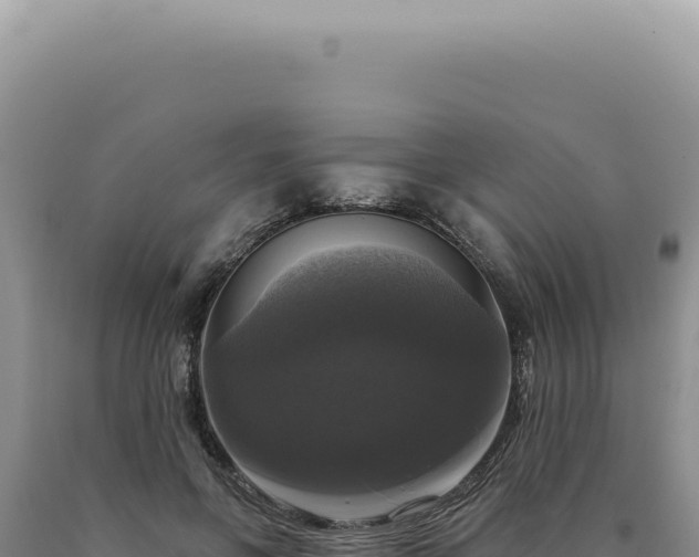 X0000090770551200707271529