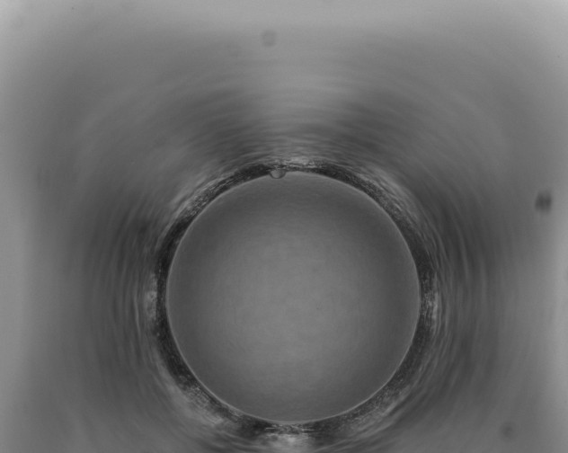 X0000090770552200707271529