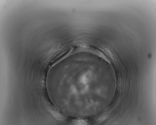 X0000090770553200707271529