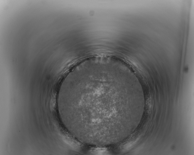X0000090770554200707271529