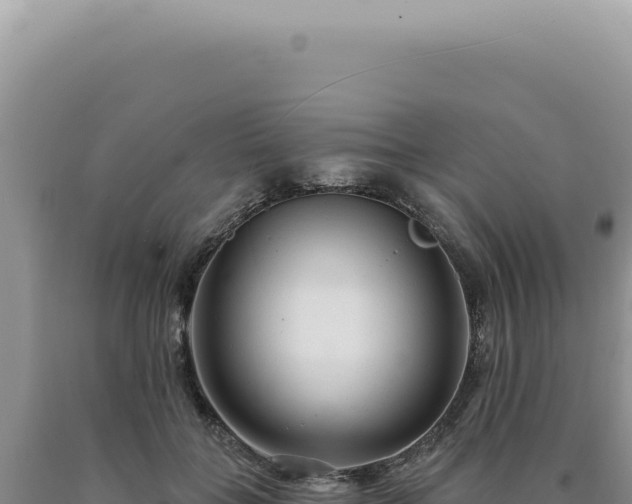 X0000090770555200707271529