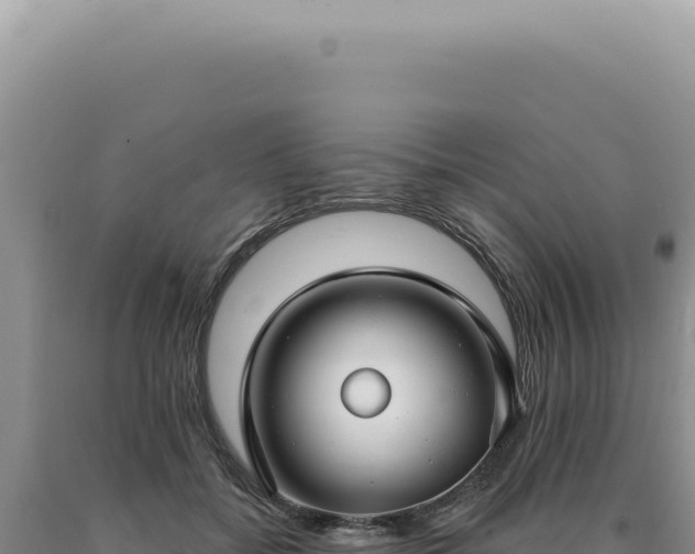 X0000090770556200707271529