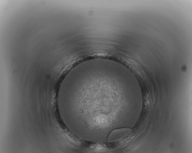 X0000090770559200707271530