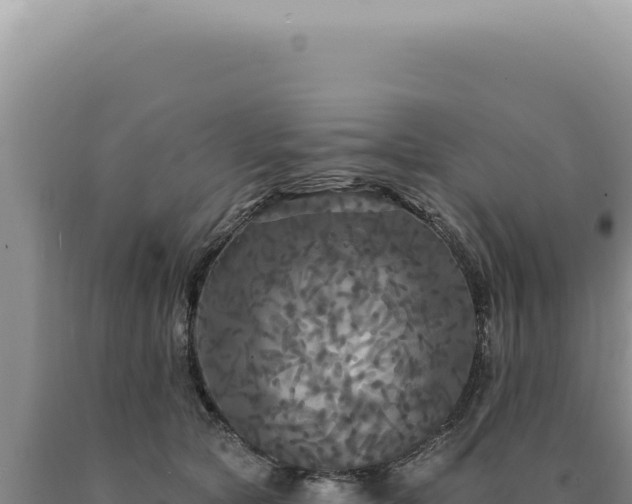 X0000090770561200707271530