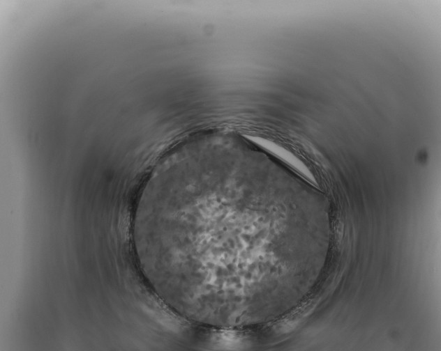 X0000090770565200707271530