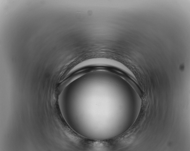 X0000090770566200707271530