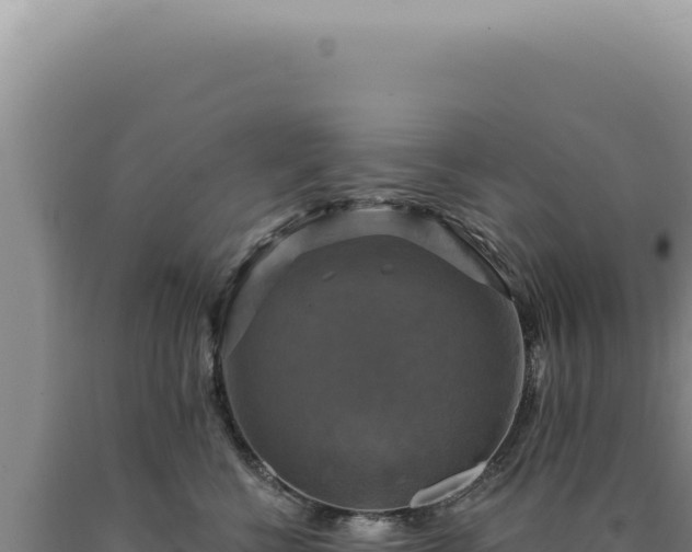 X0000090770570200707271530