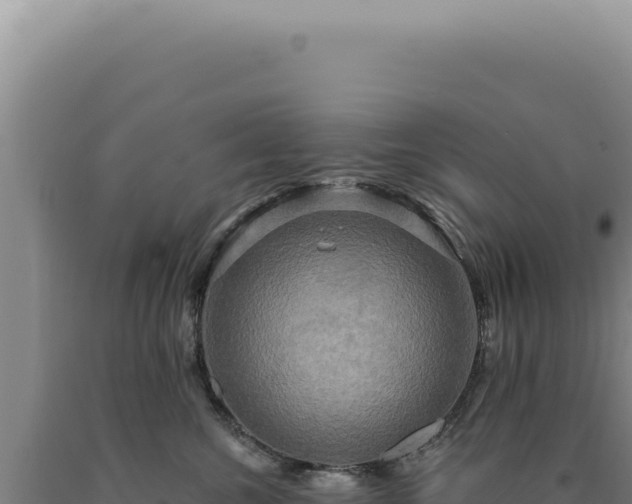 X0000090770572200707271530
