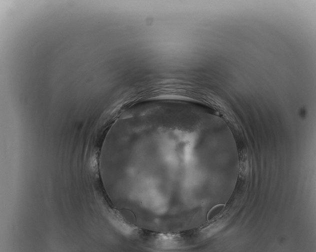 X0000090770573200707271530