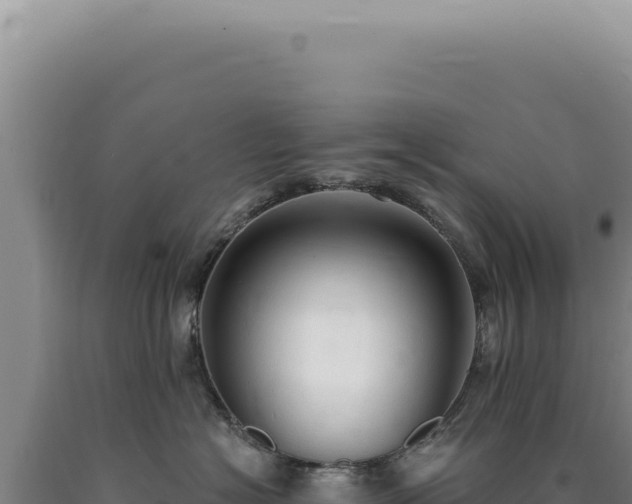X0000090770574200707271530