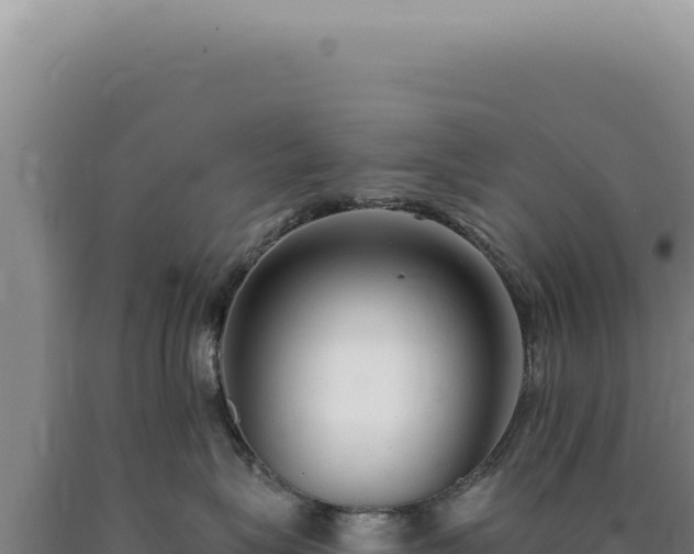 X0000090770575200707271530