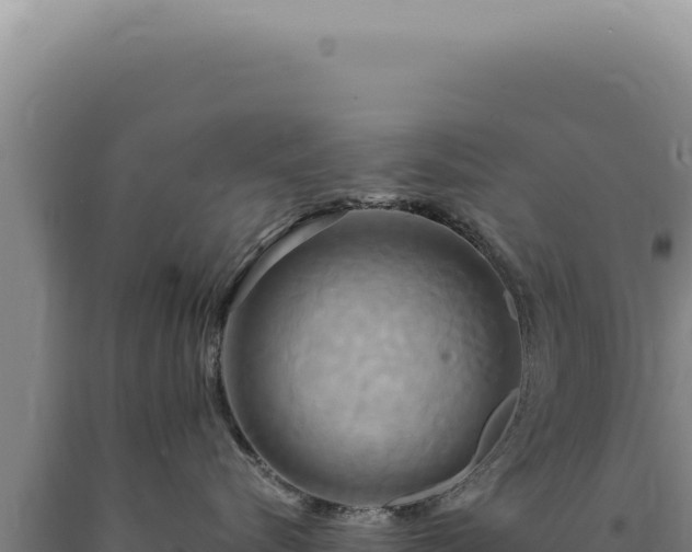 X0000090770576200707271530