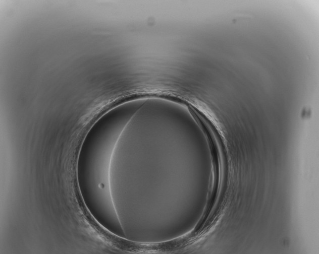 X0000090770577200707271529
