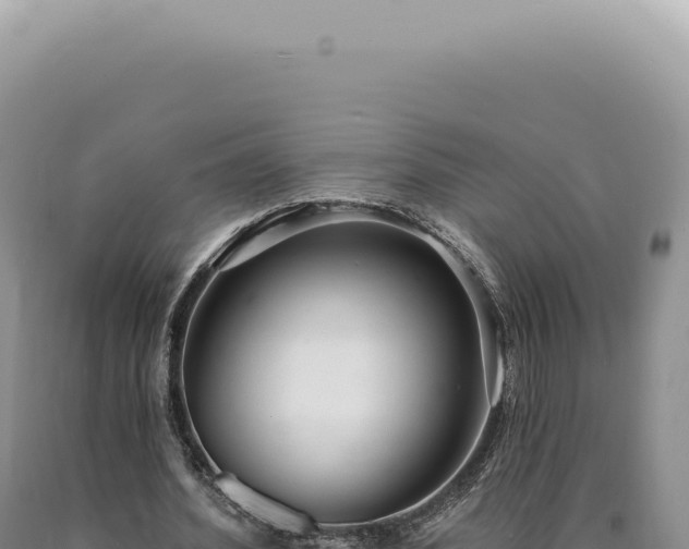 X0000090770580200707271529