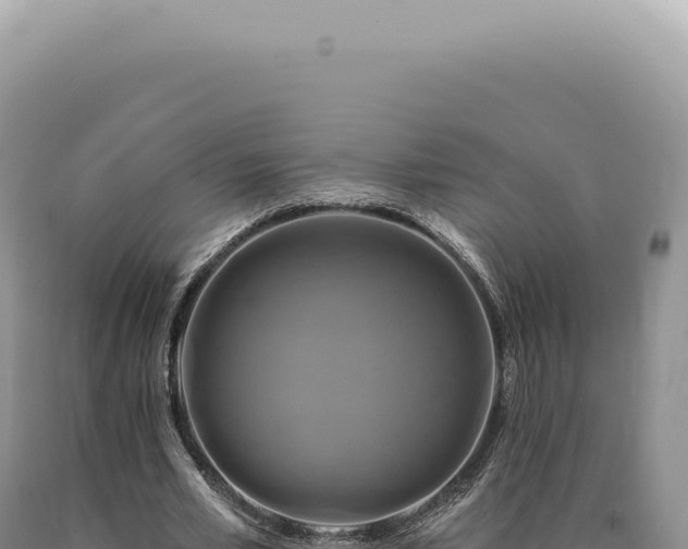 X0000090770581200707271529