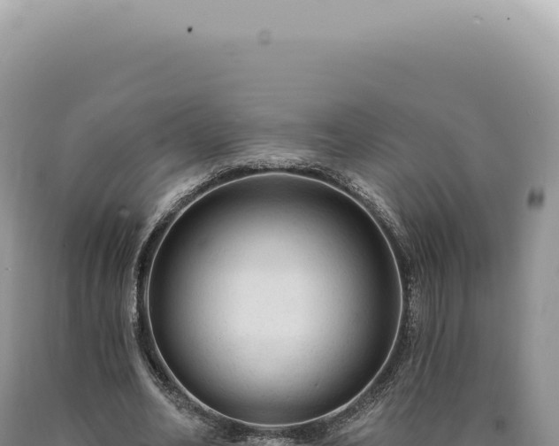 X0000090770582200707271529
