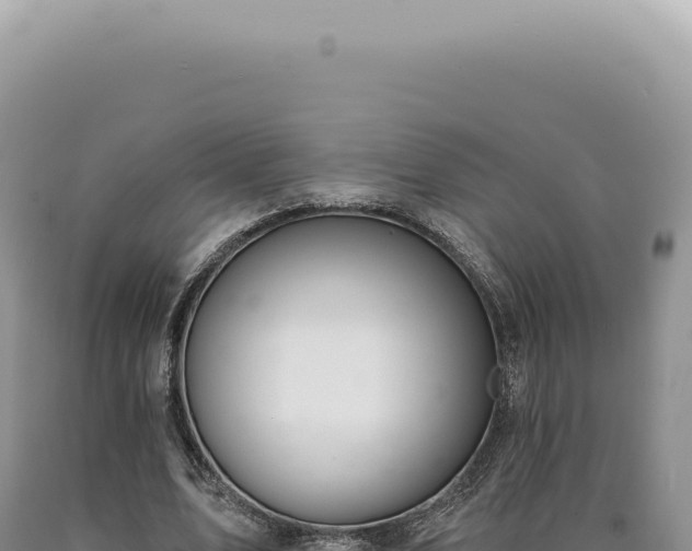 X0000090770583200707271529