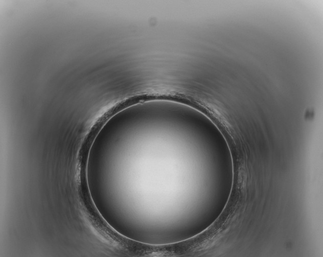 X0000090770584200707271529