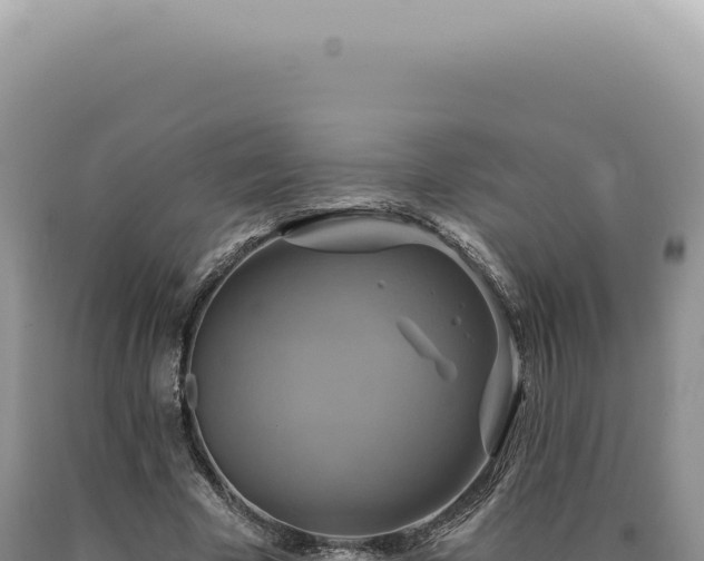 X0000090770585200707271529