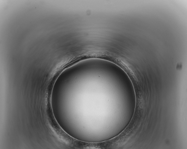 X0000090770586200707271529