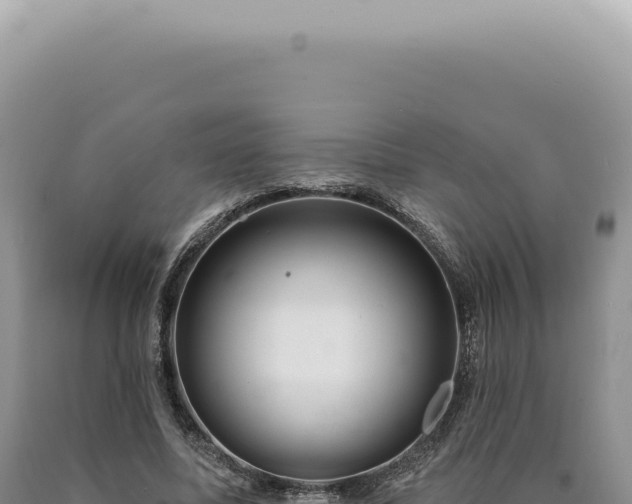 X0000090770587200707271529