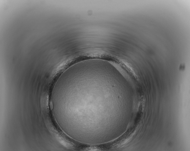 X0000090770589200707271529