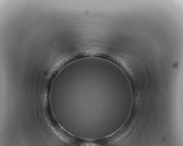 X0000090770590200707271529