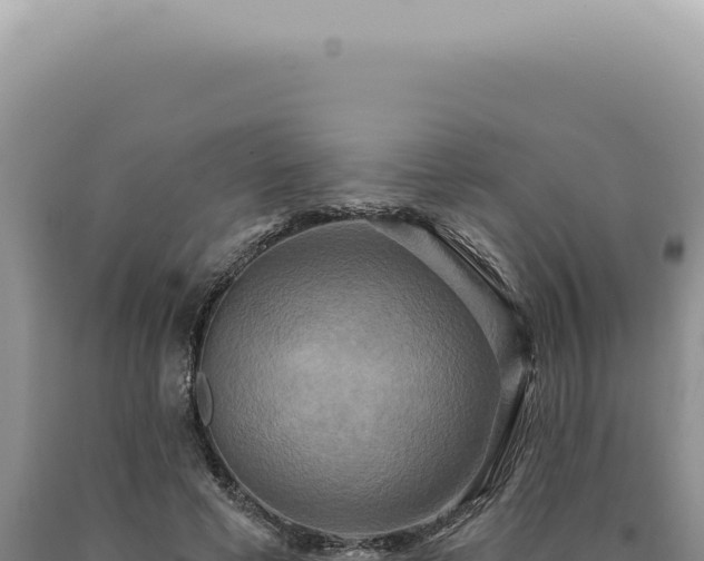 X0000090770593200707271529