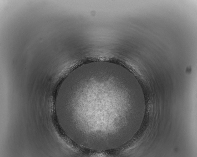 X0000090770594200707271529
