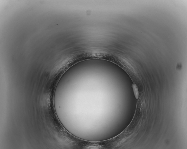 X0000090770595200707271529