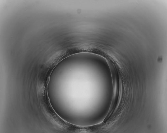 X0000090770597200707271529