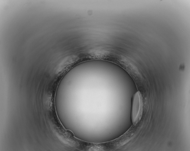 X0000090770599200707271529