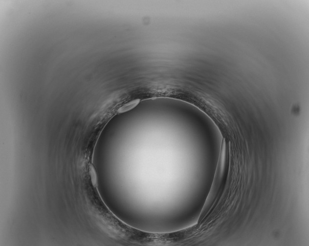X0000090770601200707271529