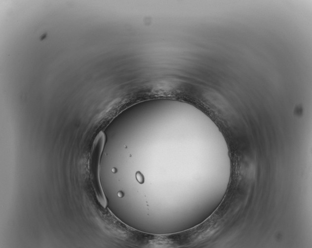 X0000090770603200707271529