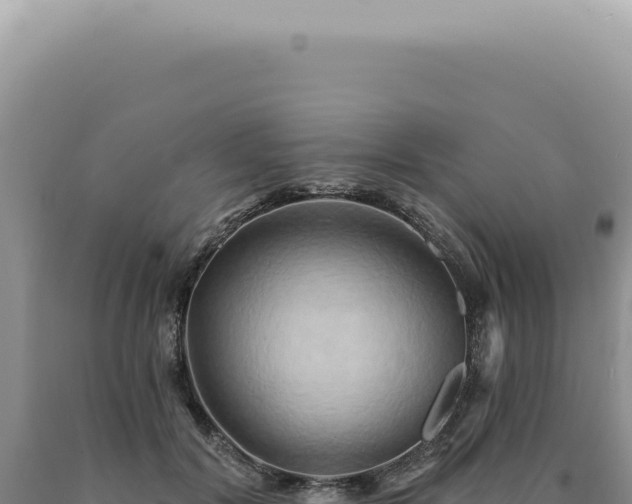 X0000090770604200707271529