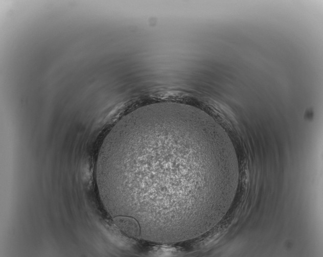 X0000090770607200707271529