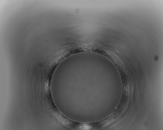 X0000090770610200707271529