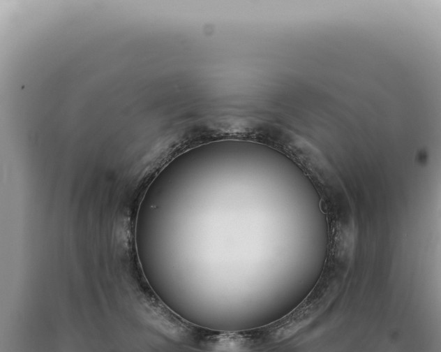 X0000090770612200707271529
