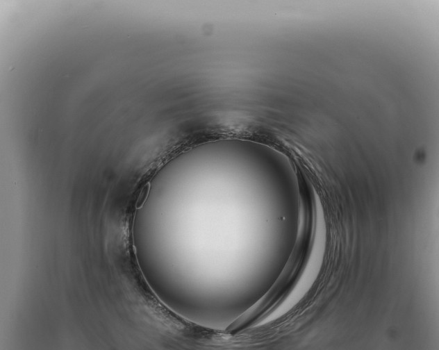 X0000090770613200707271529