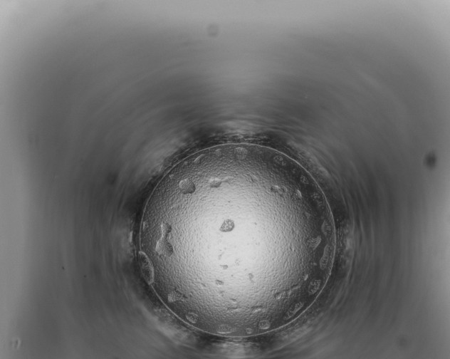 X0000090770615200707271529