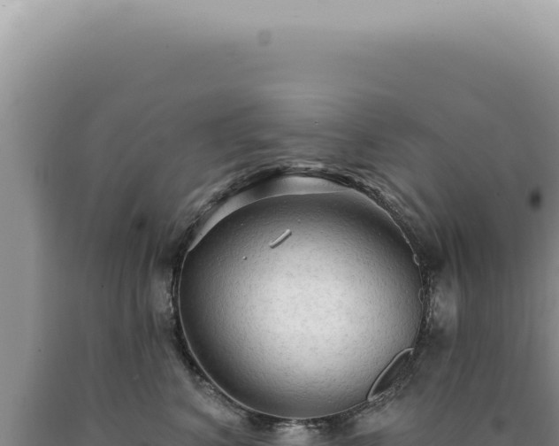 X0000090770616200707271529