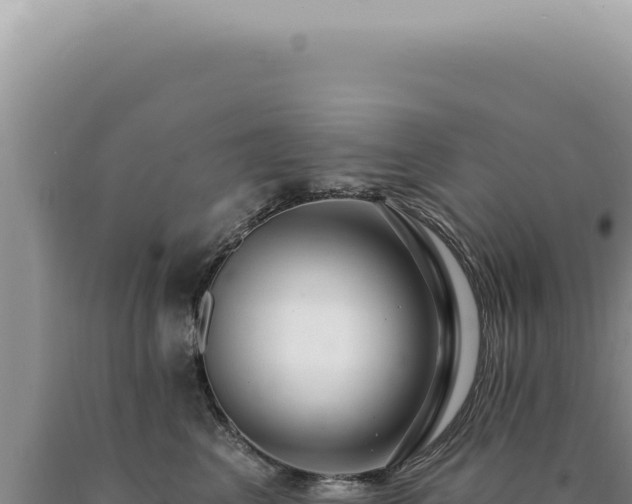 X0000090770617200707271529