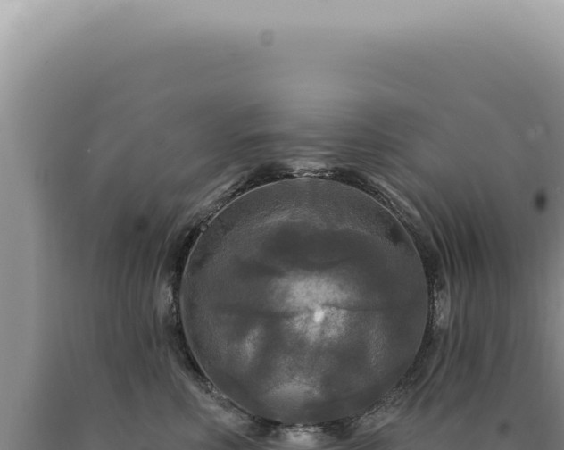 X0000090770618200707271529