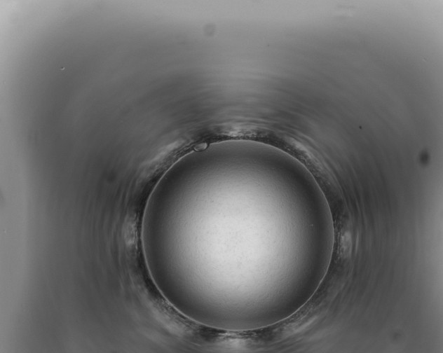 X0000090770620200707271529