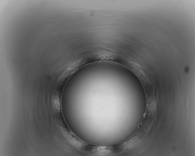 X0000090770622200707271529