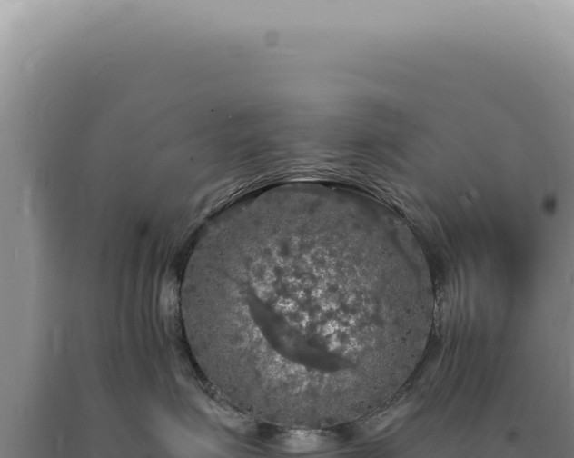 X0000090770623200707271529