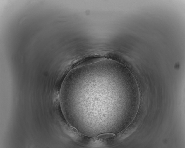 X0000090770624200707271529